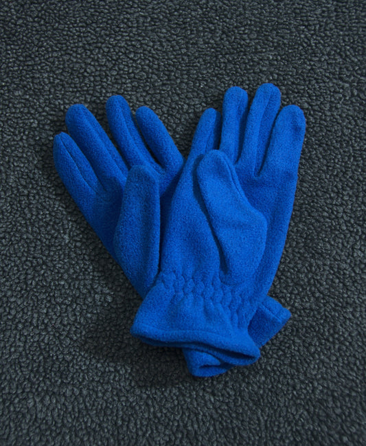 Gants en polar bleu